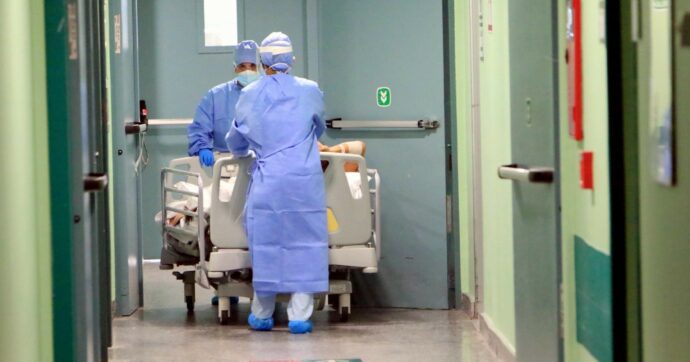 Covid: alerta por la variante «Cicada» y por qué la nueva mutación BA.3.2 inquieta a los expertos