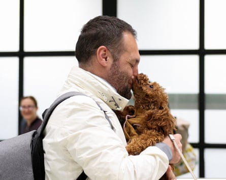 Valises prêtes, gamelles oubliées: des milliers d'animaux abandonnés à Dubaï