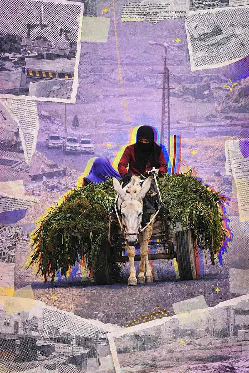 La 'línea amarilla' en Gaza: campesinos que ya no pueden llegar a sus tierras